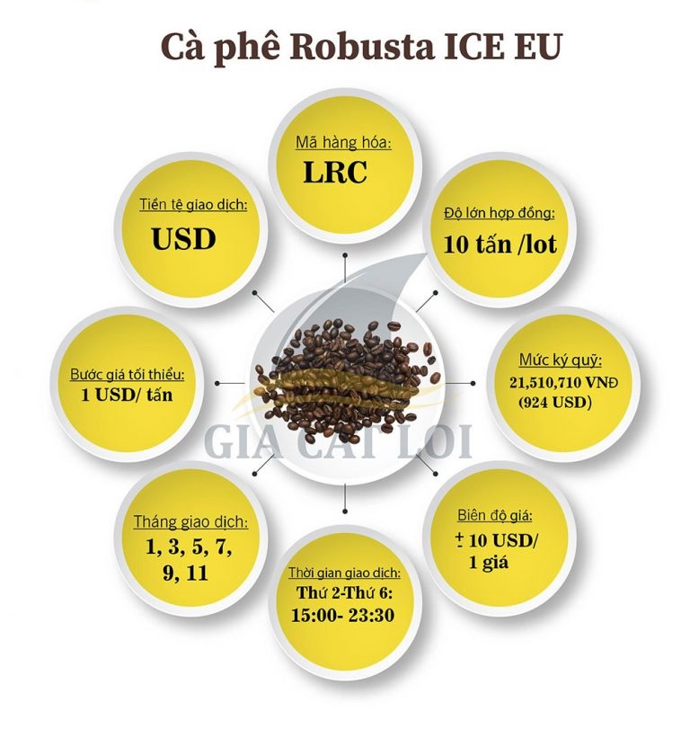 Thông số cà phê Rubusta